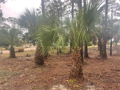 764 E Pine Ave unit 4, St. George Island, FL 32328 - photo 3