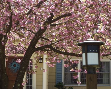 10 Samuel Parlin Dr, Acton, MA 01720 - photo 2