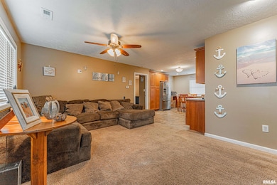 310 W Kickapoo St, Lincoln, IL 62656 - photo 3