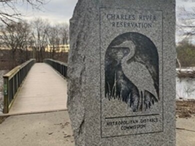 20 Flood St unit 1, Waltham, MA 02453 - photo 7