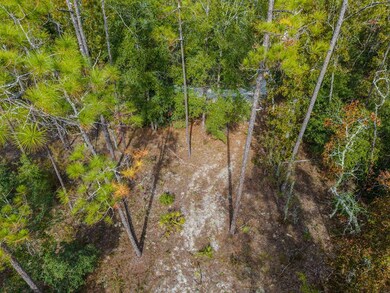 LOT 61 NE 899th St, Old Town, FL 32680 - photo 6