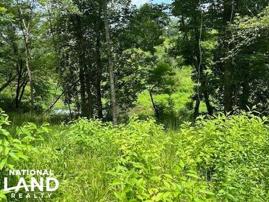 0 Old Hwy 51 NE, Brookhaven, MS 39601 - photo 7