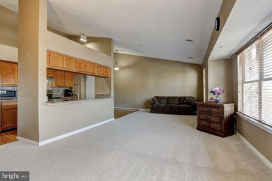 2701 Snowbird Terrace unit 916, Silver Spring, MD 20906 - photo 5