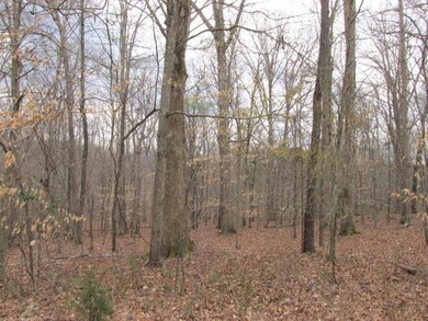 0 Country Club Dr unit 1812844, Manchester, TN 37355 - photo 4