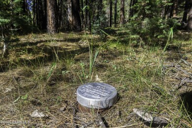 00 S Comstock Mine Rd, Prescott, AZ 86303 - photo 4