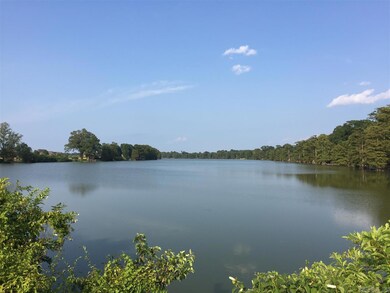 Lot 336 Mound View Dr, England, AR 72046 - photo 6