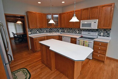 814 Fox Run Ct, Oregon, WI 53575 - photo 5