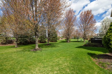 1811 Princess Cir, Naperville, IL 60564 - photo 2
