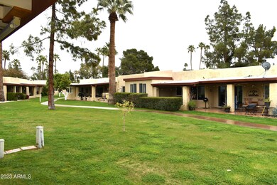 Backs to Grassy Area