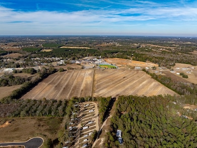 51.8+-ac Hadden Rd, Rehobeth, AL 36301 - photo 6