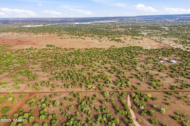 0 Silver Lake Blvd 16 32 Acres, Show Low, AZ 85901 - photo 3