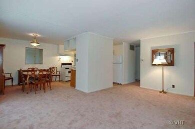 234 Butte Ln, Carpentersville, IL 60110 - photo 2