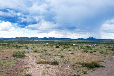 71 High Lonesome, Alpine, TX 79830 - photo 4