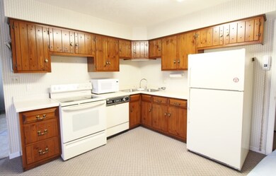 1027 W Dresden Dr, Morris, IL 60450 - photo 2