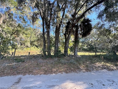 17901 NE 18th Ave, Citra, FL 32113 - photo 5