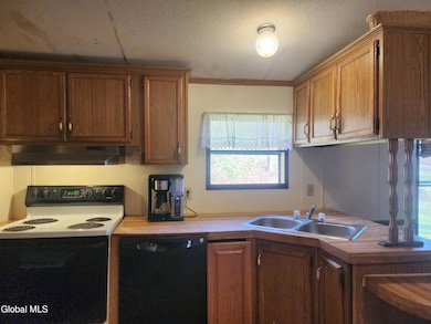 1099 W Hill Rd, Worcester, NY 12197 - photo 7