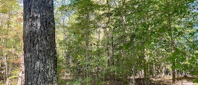 Drakes Main St, Drakes Branch, VA 23937 - photo 2