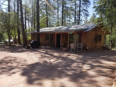 6775 Ute Trail, Pine, AZ 85544 - photo 3