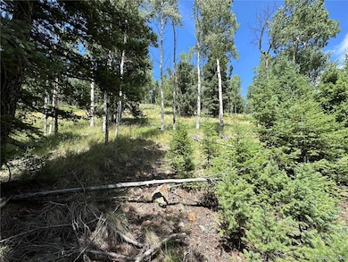 0 Tbd Calkins unit REC5883648, Jasper, CO 81146 - photo 3