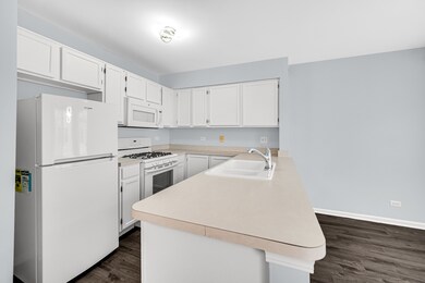 2274 Dawson Ln unit 253, Algonquin, IL 60102 - photo 7