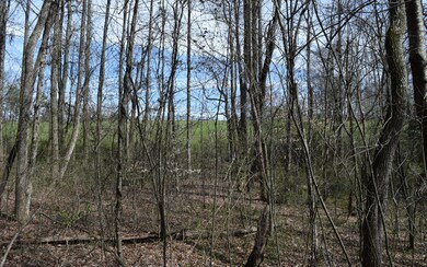 Additional View