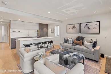 800 S Mill St unit 7B, Aspen, CO 81611 - photo 4