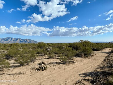 Photo Nov 05 2025, 3 20 06 PM-min