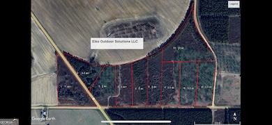 8 County Line Rd, Elko, GA 31025 - photo 5