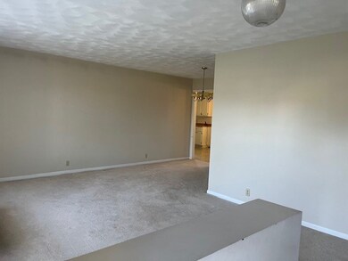 304 W Cedar Ave, Effingham, IL 62401 - photo 5