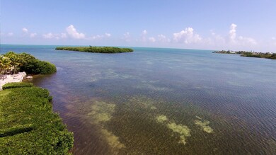Open Water View