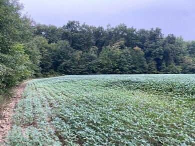 0 St Rt 123 unit 1675576, Perry Township, OH 45107 - photo 4