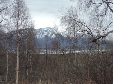 Buzdor Knik River Road 027