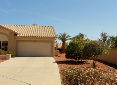 Willowbrook Side of Yard