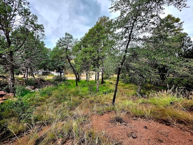 912 N Beeline Hwy, Payson, AZ 85541 - photo 7