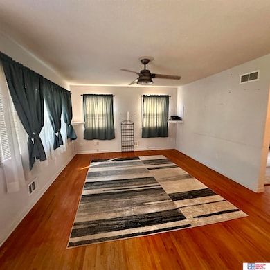 1111 D St, Fairbury, NE 68352 - photo 7