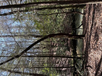 15 Thomas Springs Rd, Crossville, TN 38572 - photo 5