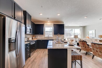 3031 126th Ave NE unit C, Minneapolis, MN 55449 - photo 4