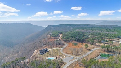 3-DJI_20250205113627_0151_D