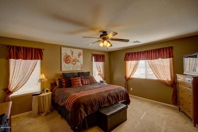 Good Sized Master Bedroom
