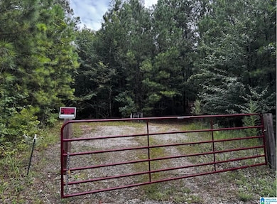 3500 Morgans Run Pkwy, Bessemer, AL 35022 - photo 2