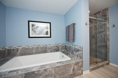 4347 Dairymans Cir, Naperville, IL 60564 - photo 2