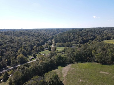 1551 Buck Smith Rd, Palmyra, TN 37142 - photo 3