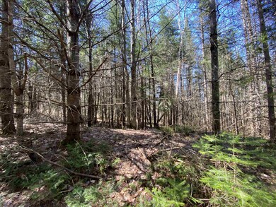 0 Mace Rd, Newbury, VT 05081 - photo 5