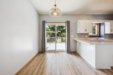 11819 W River Rd, Champlin, MN 55316 - photo 7