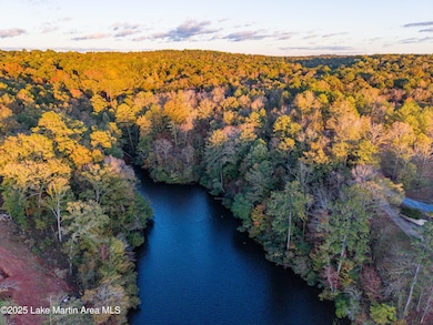 0 McClure Point Rd unit 25-2418, Tallassee, AL 36078 - photo 4