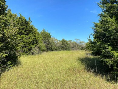 2722 Farm To Market 4, Cleburne, TX 76031 - photo 3
