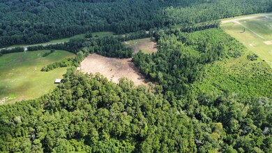 TBD HWY 3226