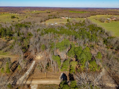 Lot C Malberg Rd, Cabool, MO 65689 - photo 4