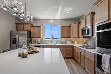 9389 Mayflower Gulch Way, Colorado Springs, CO 80938 - photo 4