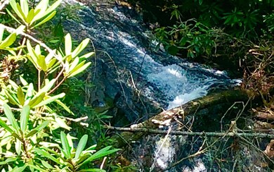 Additional View